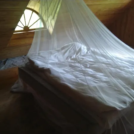 Paali Rent * Tornimae