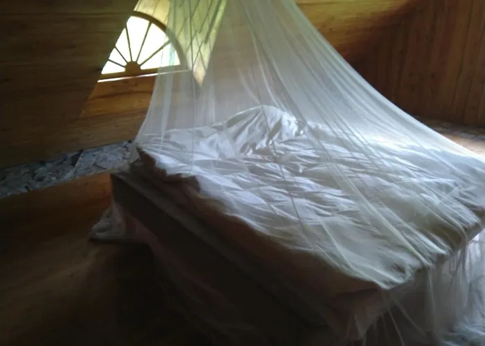 Paali Rent * Tornimäe